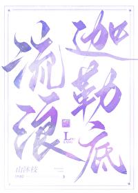 养狐手札 作者Marey