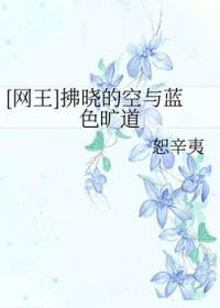 镇魂帝王攻略