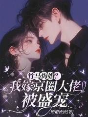 快穿之女配只想做路人