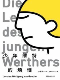 黑客江湖2菜鸟高手阅读