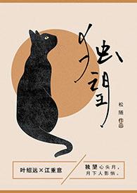 风起大明TXT
