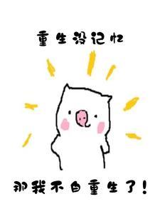 老子是全村的希望免费