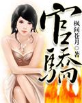 纪蓝沈平昭全文免费阅读
