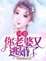 逍遥小县令短剧免费观看