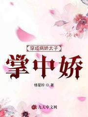 权路全文免费阅读