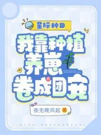 我的系统画风不太对