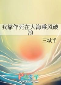 孤芳岚影电子书