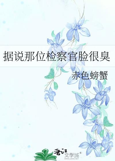 星舰leo